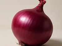 Czerwona cebula
