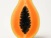 Papaja