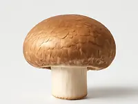 Pieczarka brązowa (portobello)