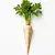 Parsley root
