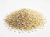Quinoa (komosa ryżowa)