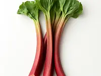 Rhubarb