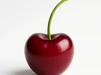 Wiśnia