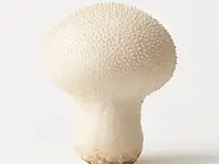 Puff pastry
