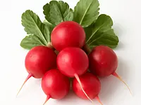 Radish