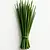 Chives