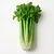 Celery