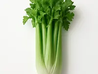 Celery