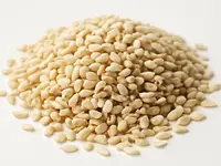 Sesame