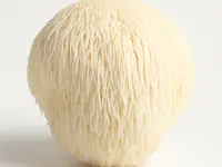 Soplówka