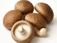 Shiitake świeże