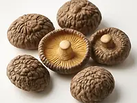 Dried shiitake mushrooms