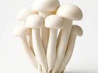 White shimeji