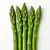 Asparagus