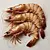 Tiger prawns