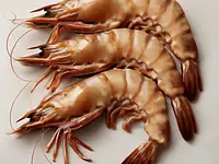 Tiger prawns