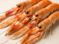 Langoustines