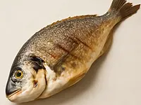 Sea bream