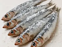 Anchois (sardele)