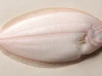 Sola
