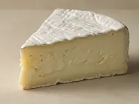 Ser brie