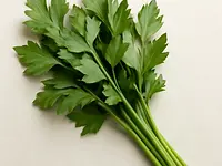 Lubczyk
