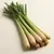 Lemongrass