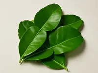 Liście limonki kaffir