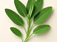 Fresh sage