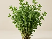 Fresh thyme
