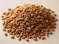 Farro