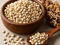 Sorghum