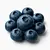 blueberry