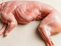 Rabbit