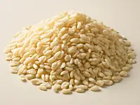 Carnaroli rice