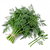 Dill (bunch)