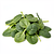 Leaf mix (baby spinach)