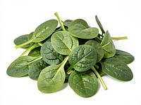Leaf mix (baby spinach)