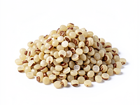 Quinoa (cooked)