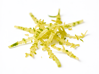 Lime zest - optional