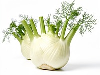 Fennel (bulb of sweet anise)