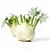 Fennel (bulb of sweet anise)