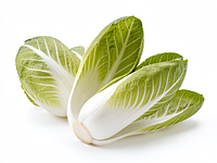 Chicory (endive)