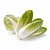 Chicory (endive)