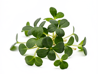 Microgreens for decoration (optional)