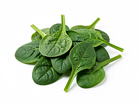 Young spinach, washed