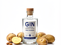 Gin (alcoholic version)