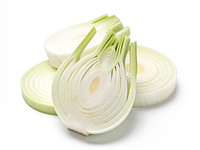 Fenkuł (bulwa) — cienko pokrojony