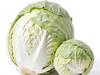 Fresh white cabbage