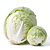 Fresh white cabbage